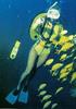 [Underwater Scuba Diving] Lady & Fish school