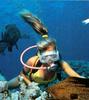 [Underwater Scuba Diving] Lady & Moray Eel