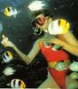 [Underwater Scuba Diving] Lady & Fishes