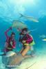 [Underwater Scuba Diving] Ladies & Stingrays