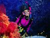 [Underwater Scuba Diving] Lady & Coral