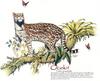 [Animal Art - Tim Pinkston] Ocelot (Leopardus pardalis)