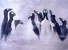 [Animal Art - Errol Fuller] Great Auk (Pinguinus impennis)