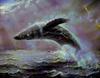 [Animal Art] Humpback Whale (Megaptera novaeangliae)