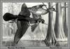 [Animal Art - Maynard Reece] Wood Duck pair in flight (Aix sponsa)