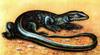 [Animal Art] Nile Monitor (Varanus niloticus)