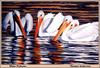[Animal Art - Thomas Anderson] American White Pelican trio (Pelecanus erythrorhynchos)