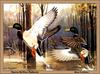 [Animal Art - Ken Carlson] Mallard ducks (Anas platyrhynchos)