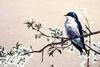 [Animal Art] Tree Swallow (Tachycineta bicolor)