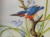[Animal Art - Basil Ede] Common Kingfisher (Alcedo atthis)