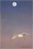 [Animal Art - Robert Bateman] Egret (Egretta sp.)