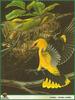 [Animal Art] Eurasian Golden Oriole (Oriolus oriolus)