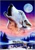 [Animal Art] Andrew Farley - Arctic Wolves