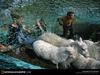 [National Geographic Wallpaper] Sheep (노르웨이의 양)