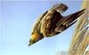 [Animal Art - Robert Bateman] Golden Eagle (Aquila chrysaetos)