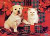 [SDC2001 Xmas] Puppy & Kitten