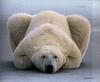 [Antlion Scans - Nature] Polar Bear