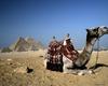 [Worldprints - Africa] Pyramid & Camel