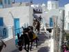 [DOT CD04] Greece - Santorini - Donkeys