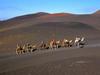 [DOT CD04] Spain Lanzarote Fire Mountains - Camels