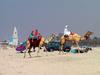 [DOT CD04] United Arab Emirates - Dubai Beach Life - Camels