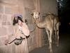 [DOT CD04] United Arab Emirates - Dubai Bedouin Museum - Camel