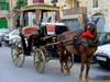 [DOT CD06] Malta - Horse Cart