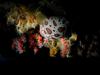 [DOT CD06] Underwater - Spain Cape Creus - Nudibranch?