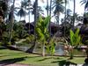 [DOT CD09] Dominican Republic, Punta Cana Resort - Flamingo