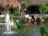 [DOT CD09] Mexico Iberostar Resorts - Flamingo