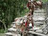 [DOT CD11] Nepal Annapurna Range - Donkeys
