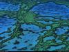 [B14 SLR: Yann Arthus-Bertrand] Great Barrier Reef