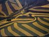 [B14 SLR: Yann Arthus-Bertrand] Farming near Pullman