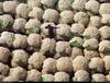 [B14 SLR: Yann Arthus-Bertrand] Cotton bales