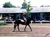 [Equus-SDC Horses] Pre-Event Practice@Kentucky Horse Park Show