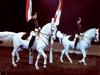 [Equus-SDC Horses] Lippizaners Performing the Pas de Deux