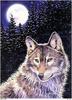 [Fafnir Scan - Sally J. Smith] 'Wolf Sprit' - 1997 Calendar - She Wolf