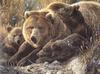 [Carl Brenders - Wildlife Paintings] Close to Mom (Brown Bears)