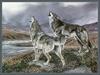 [CameoRose scan - Al Agnew] Gray Wolves