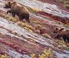 [EndLiss scans - Wildlife Art] Robert Bateman - Alaskan Autumn (Brown Bears)
