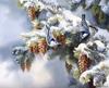 [EndLiss scans - Wildlife Art] Susan Bourdet - First Snowfall - Nuthatches