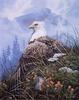 [EndLiss scans - Wildlife Art] Karen J. Brown - Resting Eagle