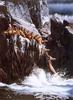 [EndLiss scans - Wildlife Art] Carl Chaplin - The First One In (Sea Lions)