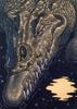 [EndLiss scans - Wildlife Art] Richard Cowdrey - Alligator Lullaby