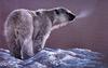 [EndLiss scans - Wildlife Art] Douglas Manning - Polar Bear Study