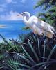 [EndLiss scans - Wildlife Art] Adrian C. Rigby - Tropical Shores (Great Egret)