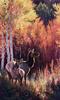 [EndLiss scans - Wildlife Art] Jocelyn Lillpot Russell - Ties That Bind (Elks)