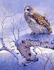 [EndLiss scans - Wildlife Art] Eva Van Rijn - Spring Thaw