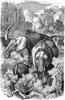 [CPerrien Scans CD02 - Animals(Pen Drawing)] Elephants