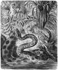 [CPerrien Scans CD02 - Animals(Pen Drawing)] anaconda